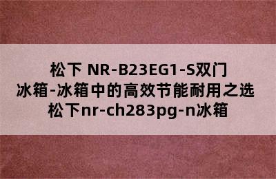 松下 NR-B23EG1-S双门冰箱-冰箱中的高效节能耐用之选 松下nr-ch283pg-n冰箱